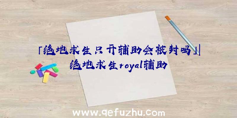 「绝地求生只开辅助会被封吗」|绝地求生royal辅助